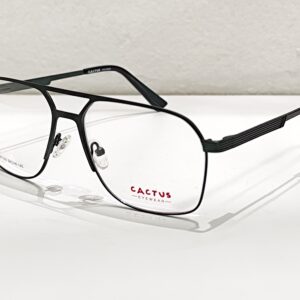 Cactus xc61108