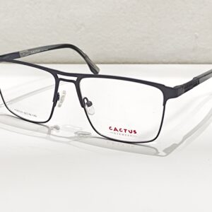 Cactus xc61117