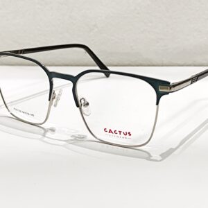 Cactus Xc61155
